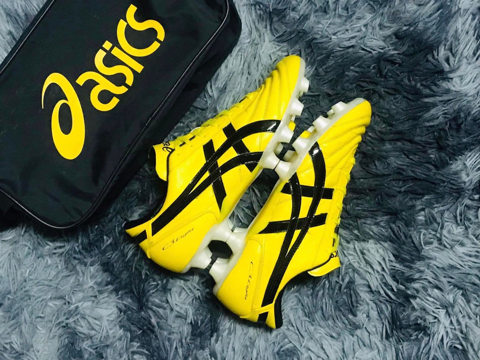 动物油熬炼设备