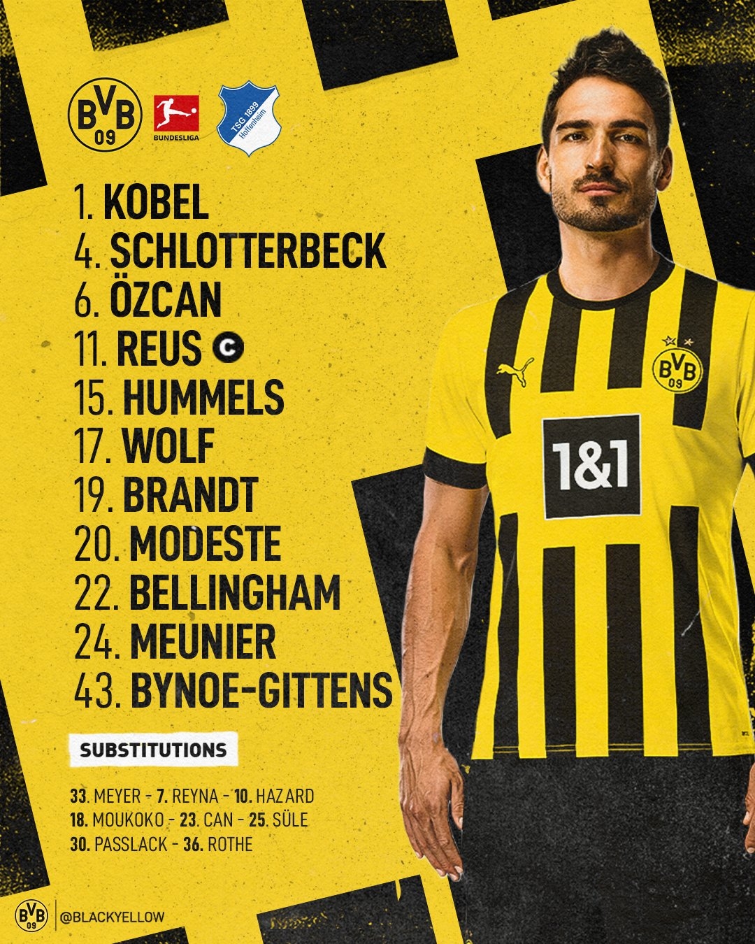 动物油脂精炼设备