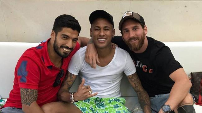 动物油精炼设备