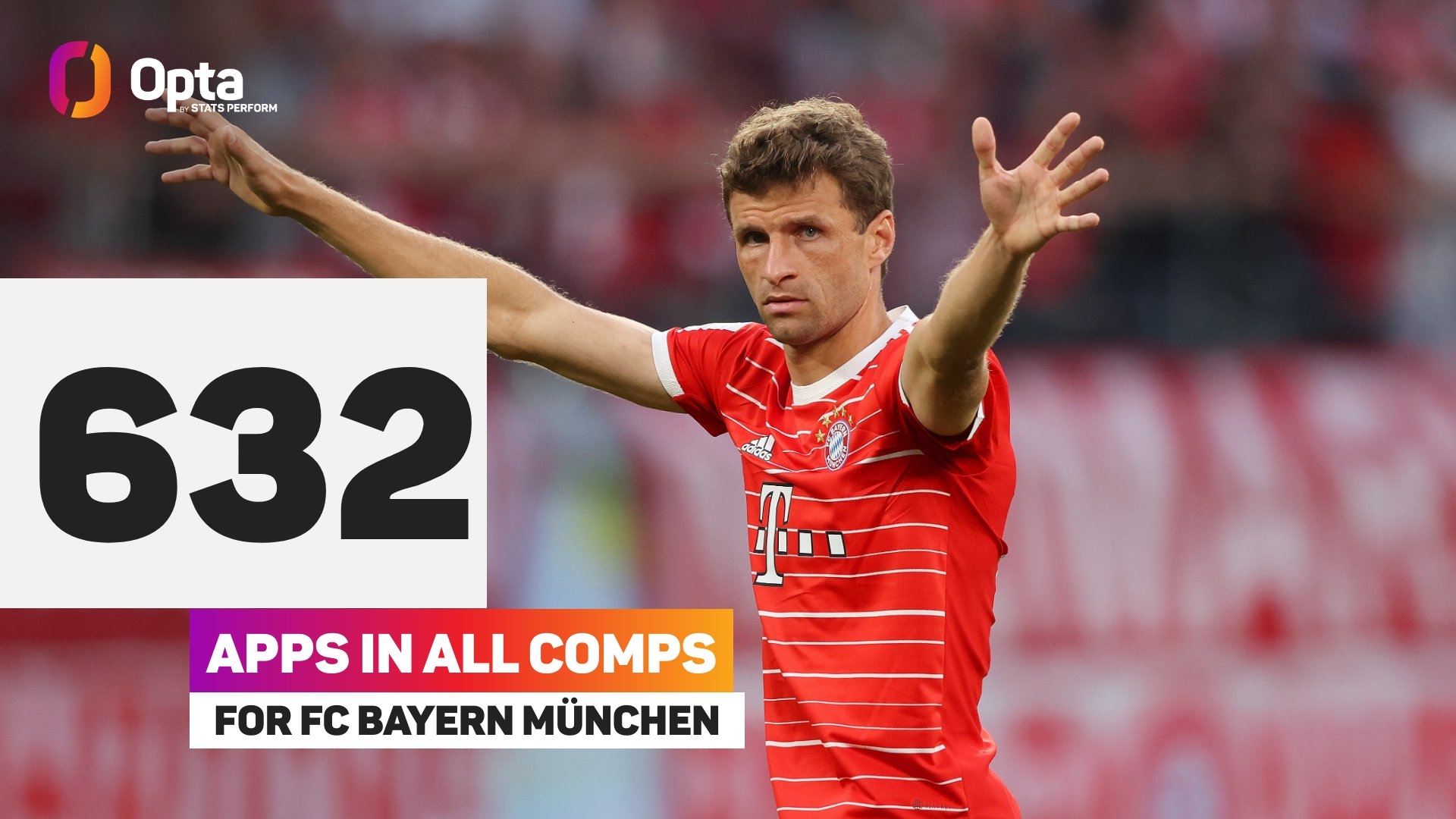 交钥匙米糠油生产线,油料油脂工程